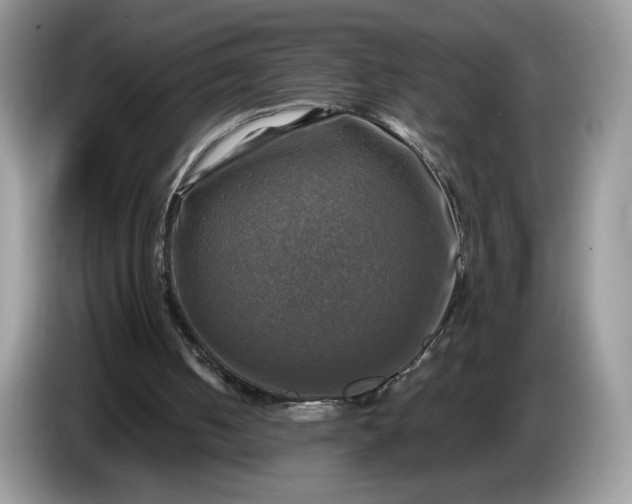 X0000086760050200704271738