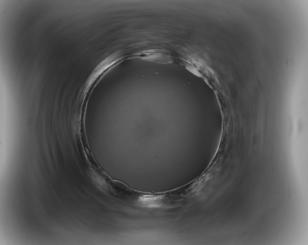 X0000086760051200704271738