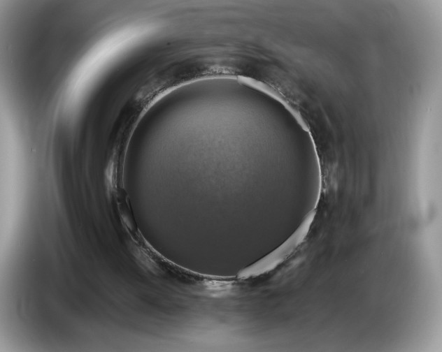 X0000086760052200704271738