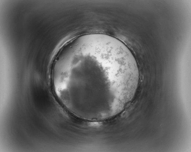 X0000086760053200704271738