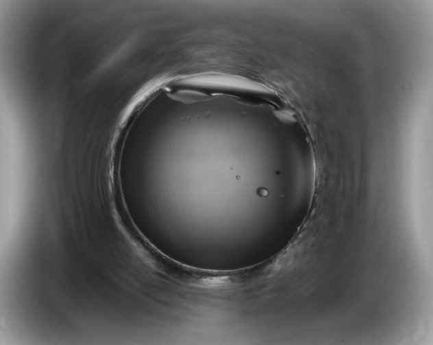 X0000086760054200704271738