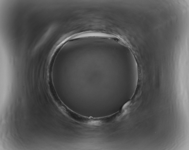 X0000086760055200704271738