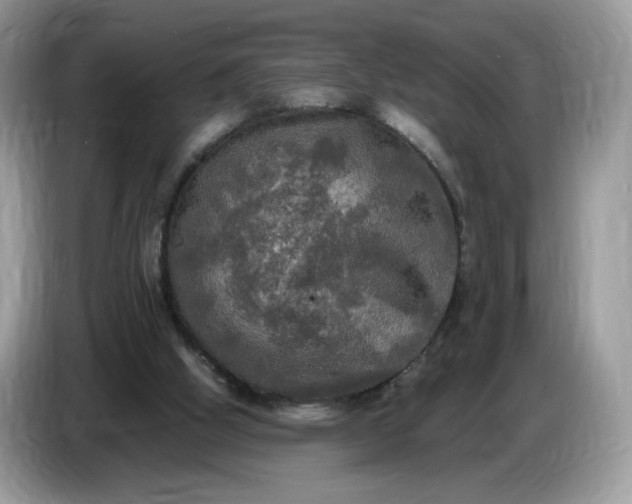 X0000086760058200704271738