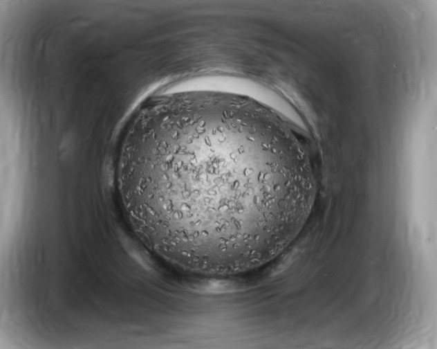 X0000086760060200704271738