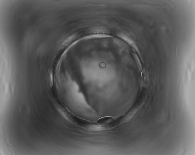 X0000086760061200704271738