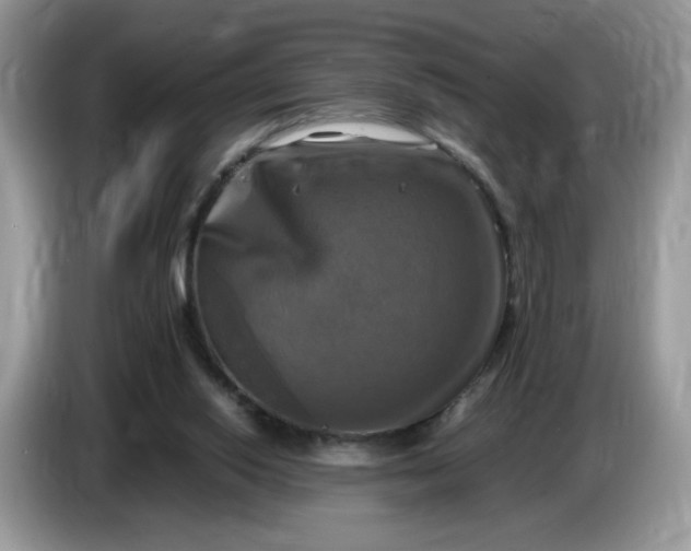 X0000086760062200704271738