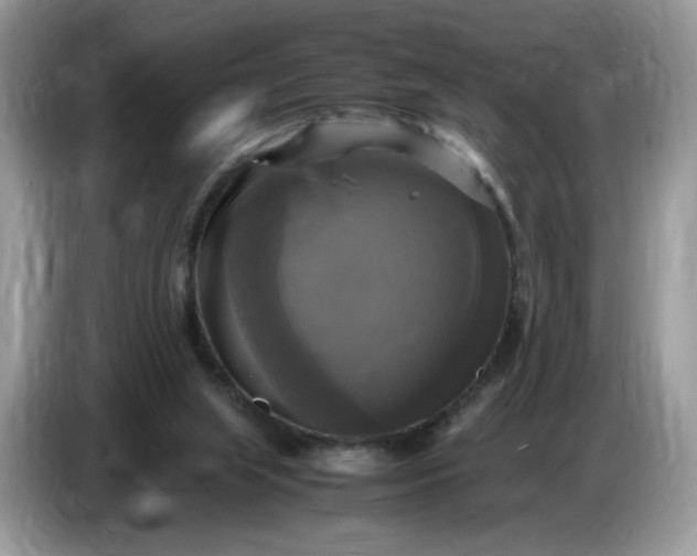 X0000086760063200704271738