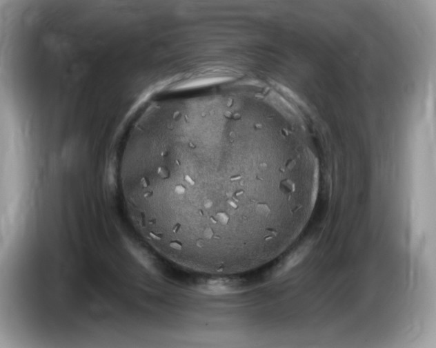 X0000086760064200704271738