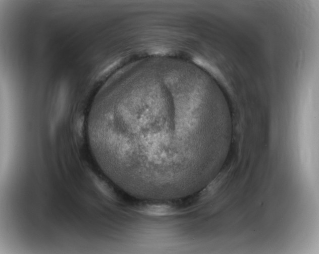 X0000086760066200704271738