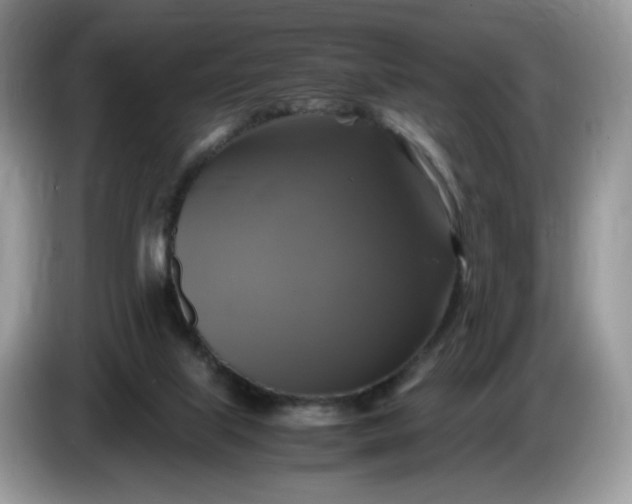 X0000086760067200704271738