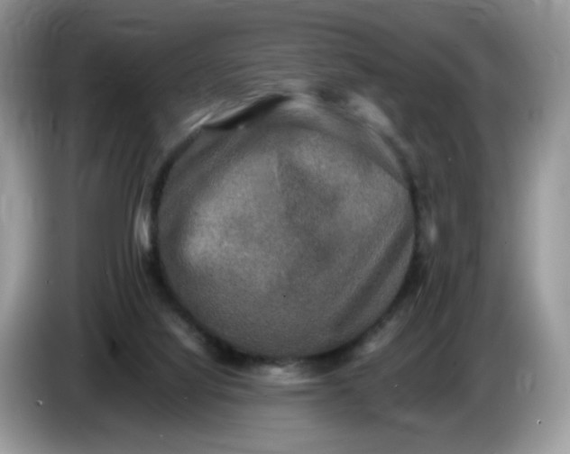 X0000086760068200704271738