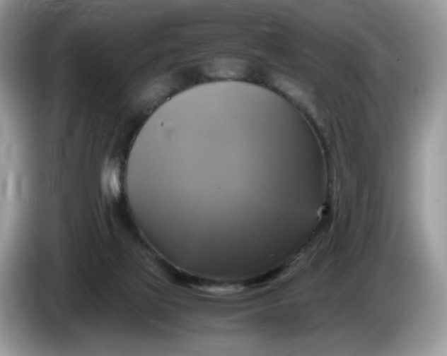 X0000086760069200704271738