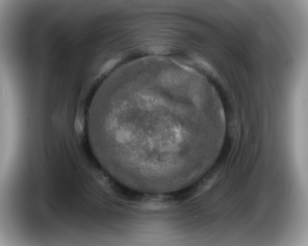 X0000086760072200704271738