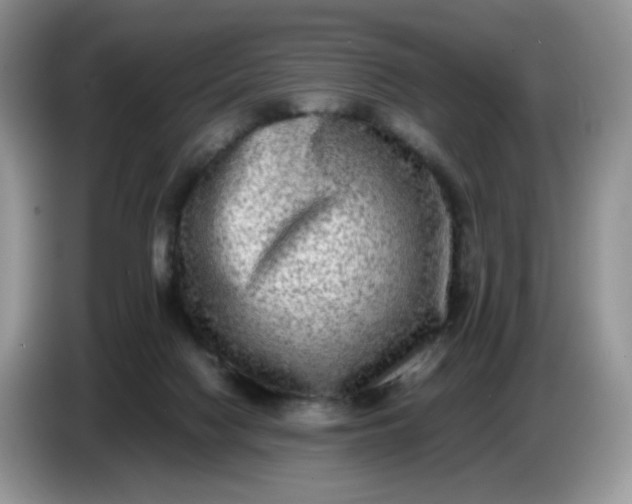 X0000086760074200704271738