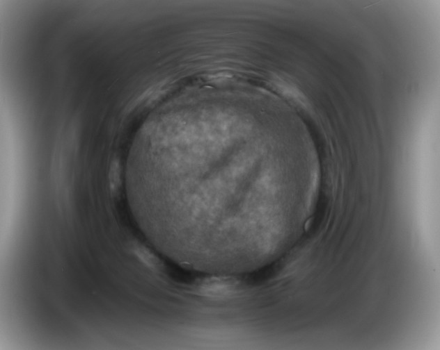 X0000086760077200704271738