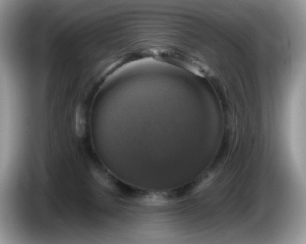 X0000086760080200704271738