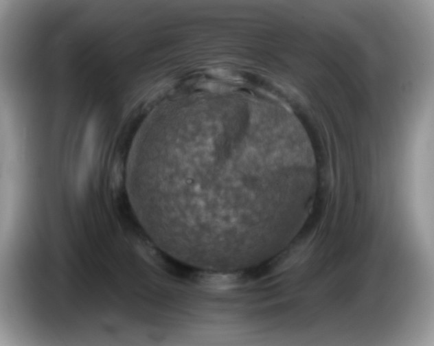 X0000086760081200704271738