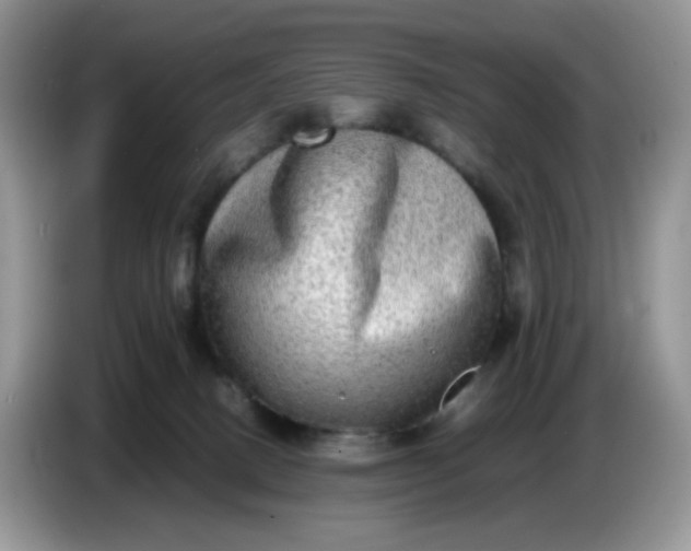 X0000086760082200704271739