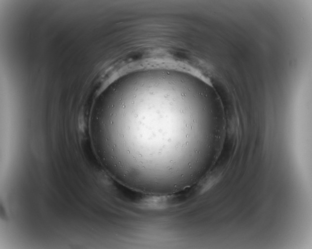 X0000086760084200704271739