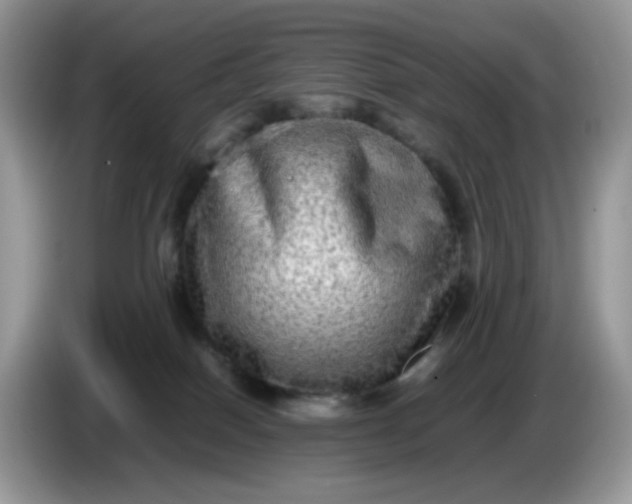 X0000086760086200704271739