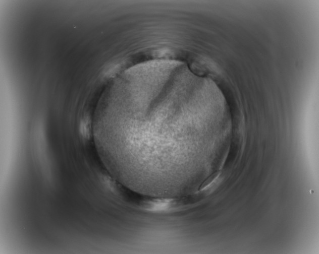 X0000086760090200704271739