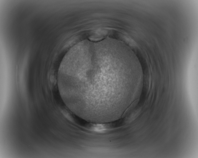 X0000086760091200704271739