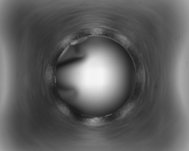 X0000086760092200704271739