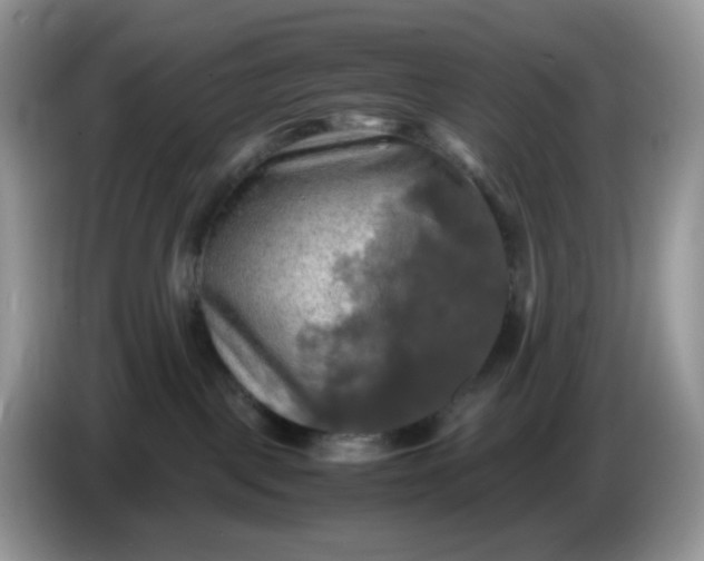 X0000086760093200704271739