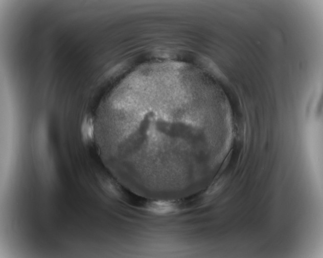 X0000086760095200704271739