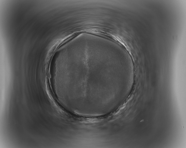 X0000086760097200704271738