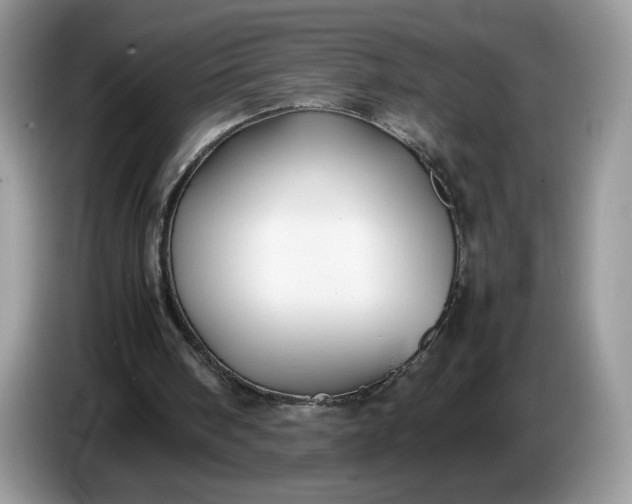 X0000086760098200704271738