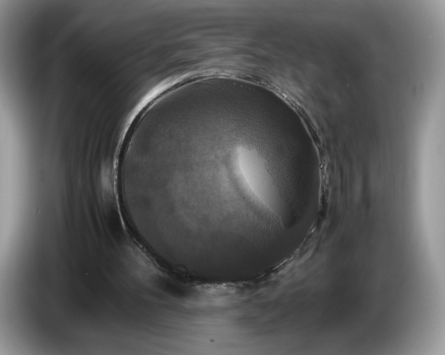 X0000086760100200704271738