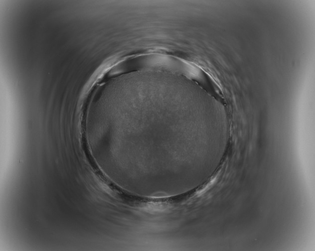 X0000086760101200704271738