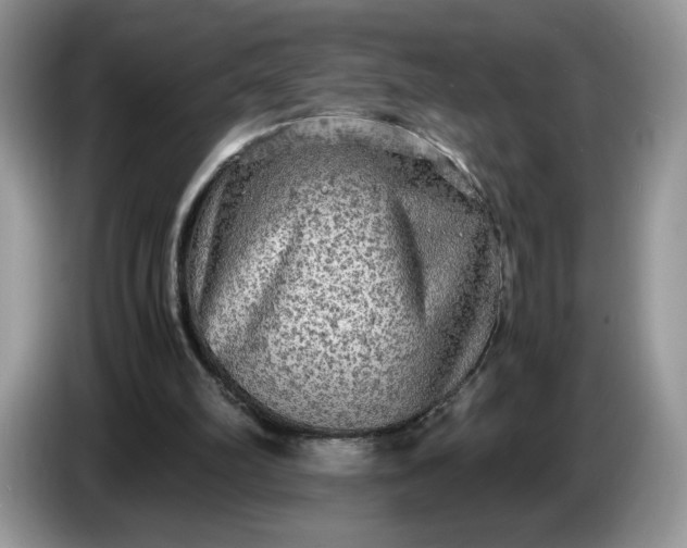 X0000086760102200704271738