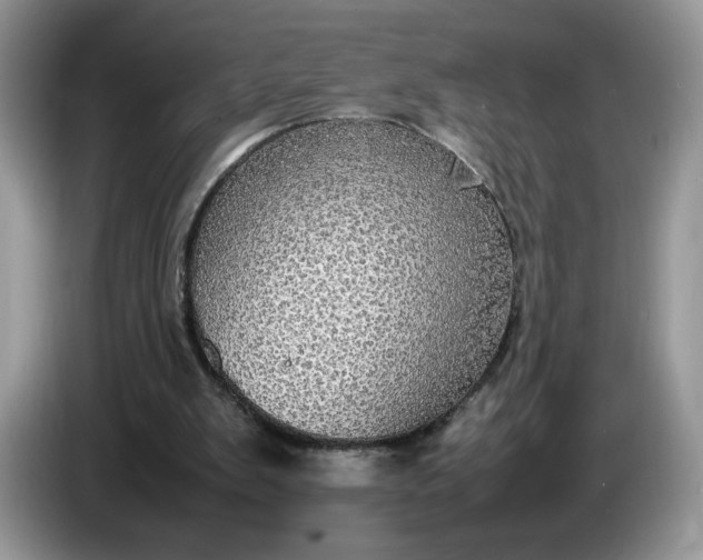 X0000086760103200704271738