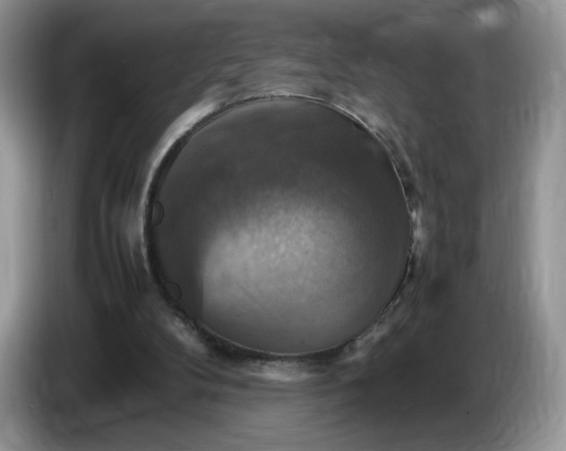 X0000086760104200704271738