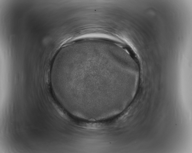 X0000086760105200704271738