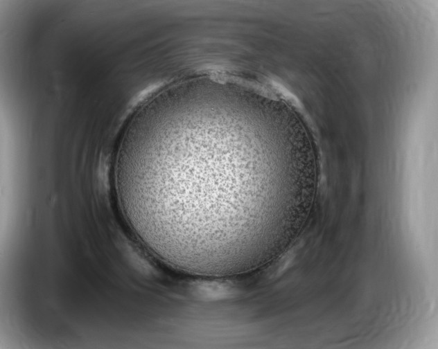 X0000086760106200704271738