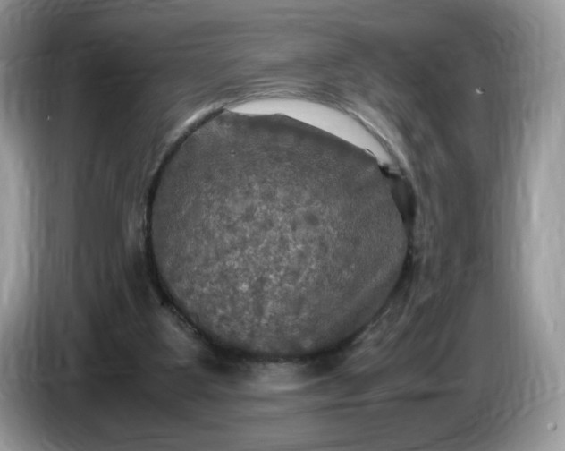 X0000086760107200704271738