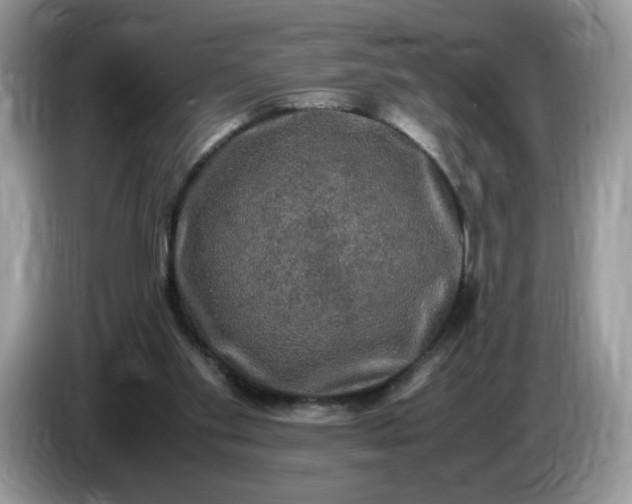 X0000086760109200704271738