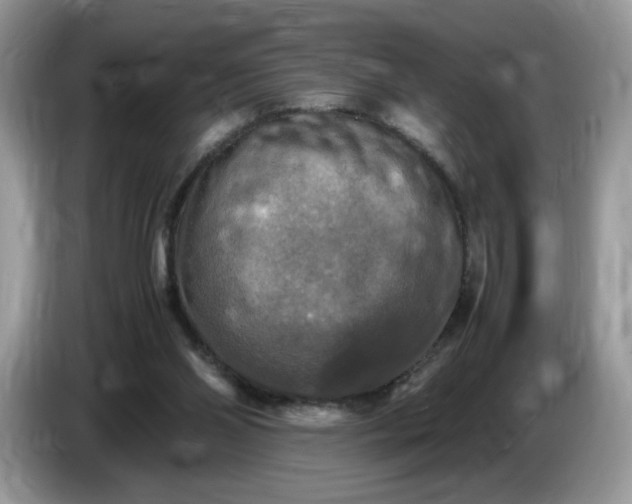 X0000086760110200704271738