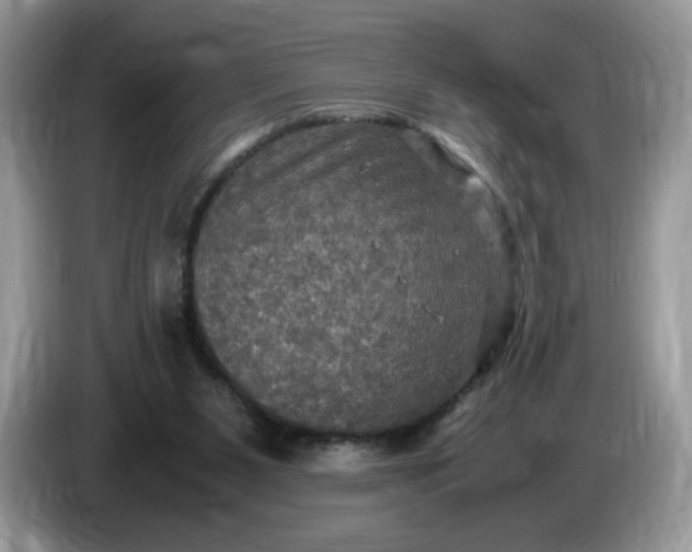 X0000086760111200704271738