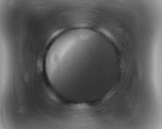 X0000086760112200704271738