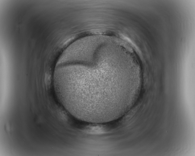 X0000086760113200704271738