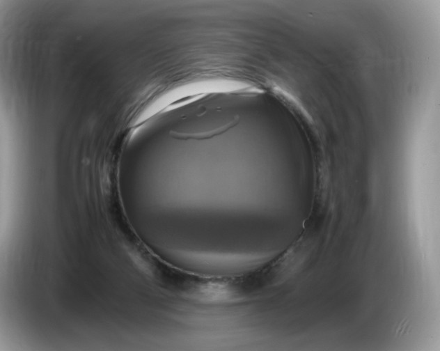 X0000086760114200704271738