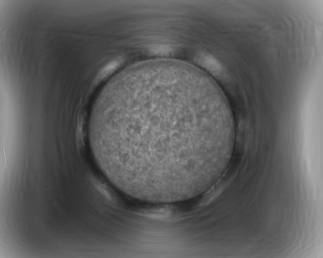 X0000086760116200704271738