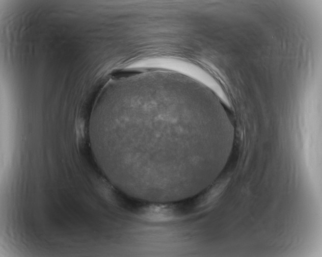 X0000086760117200704271738