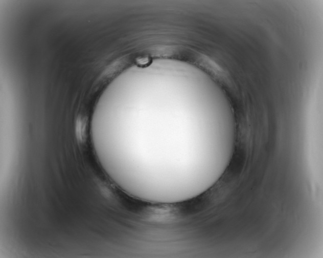 X0000086760118200704271738