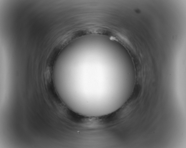 X0000086760121200704271738