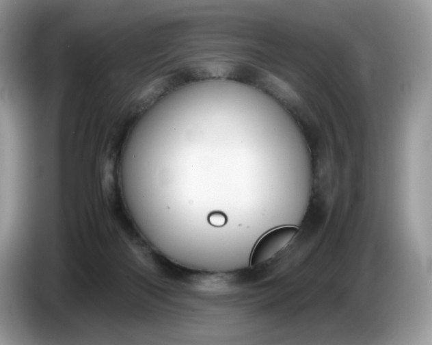 X0000086760122200704271738